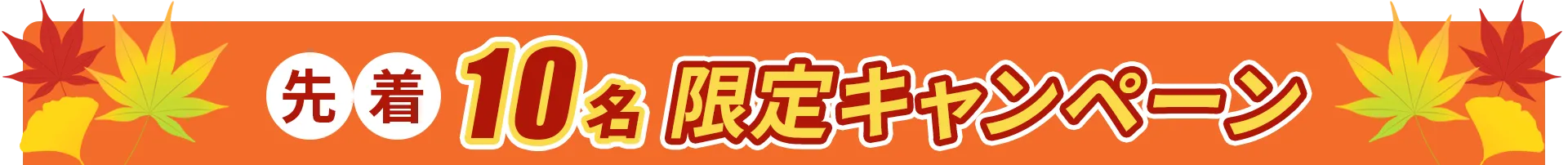 先着10名限定キャンペーン